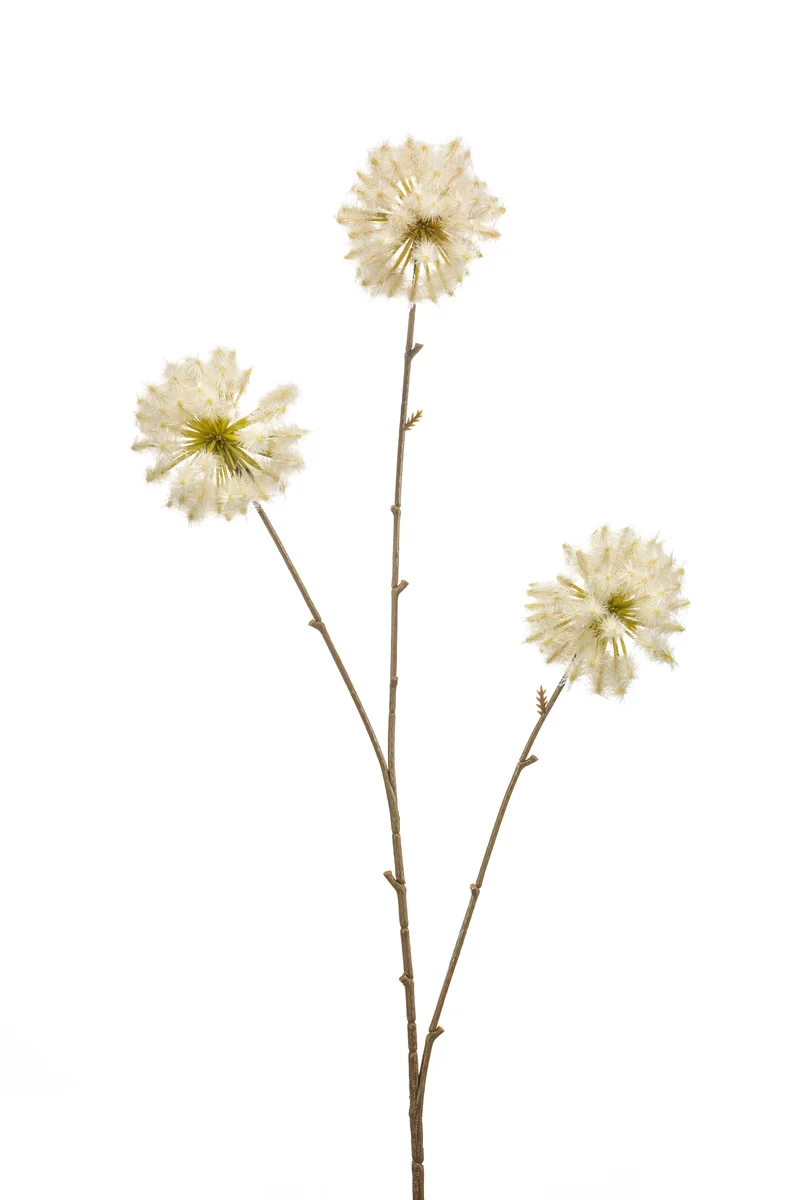 Pusteblume 3 Köpfe Künstlich 80 cm - 1 Stiel - Elfenbein