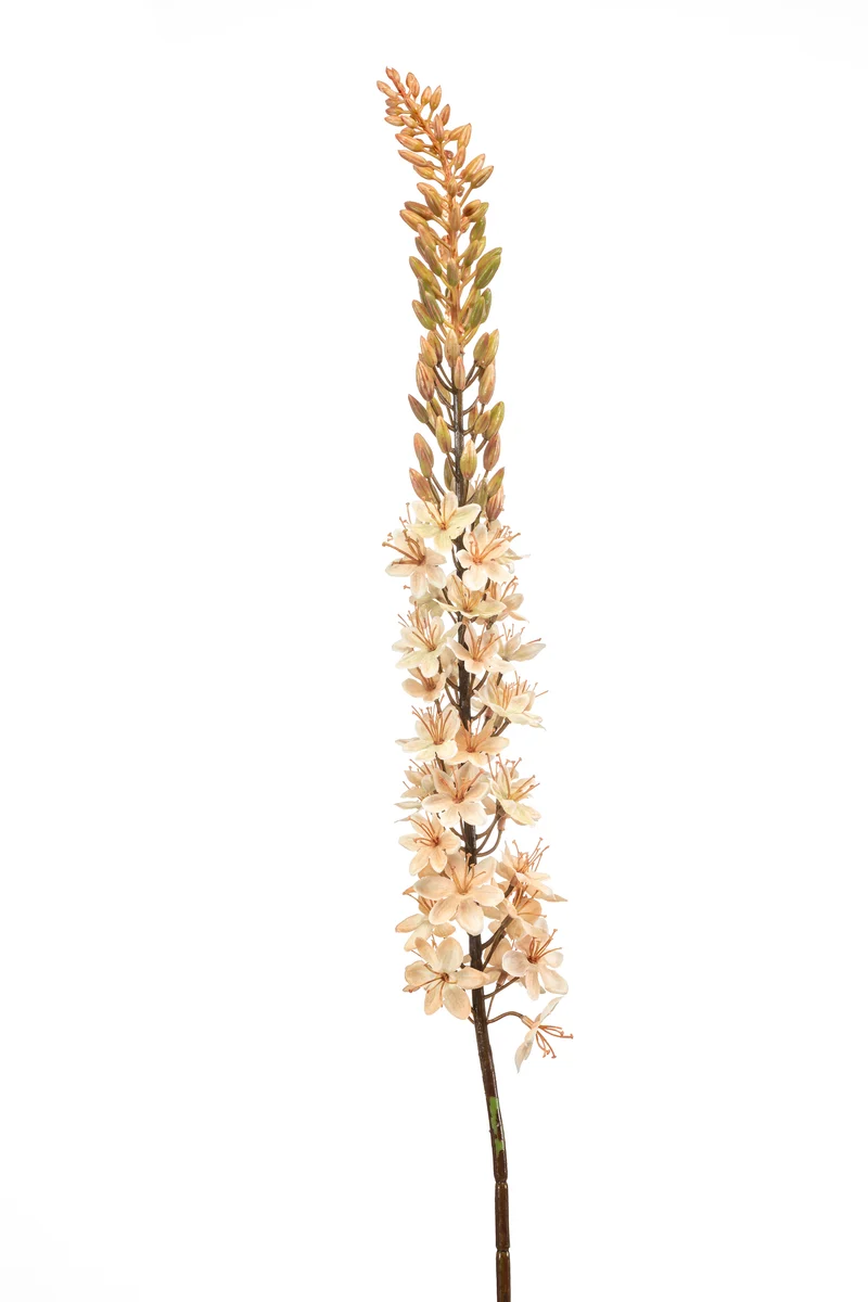 Steppenkerze künstlich 109 cm - 1 Stiel - Beige