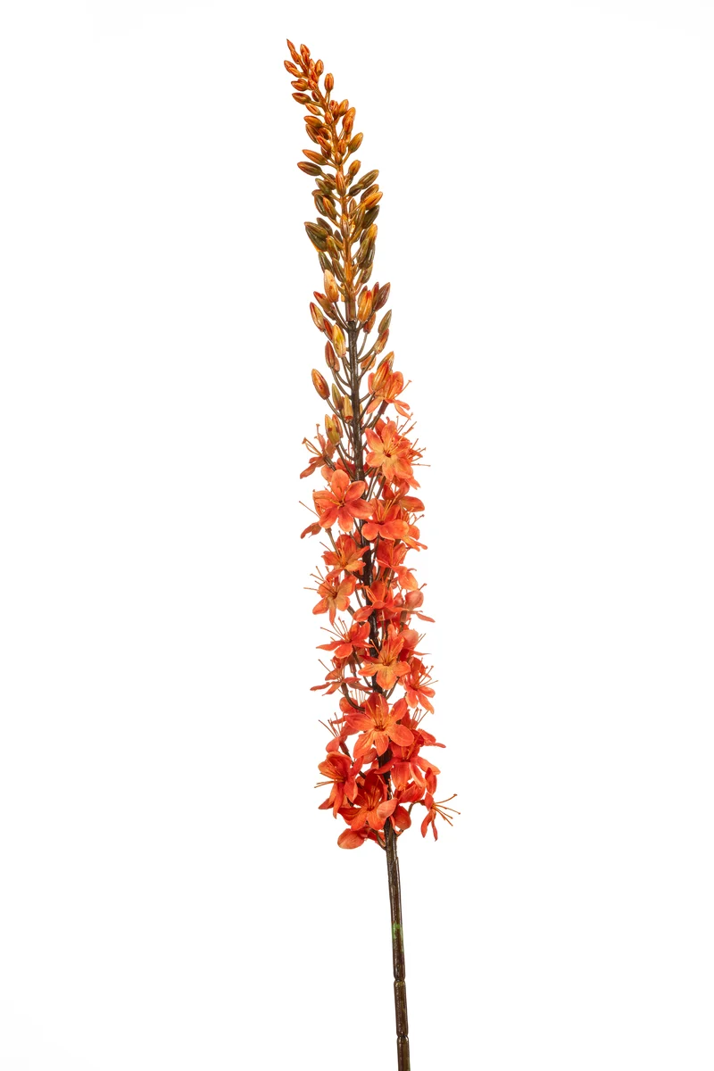 Steppenkerze künstlich 109 cm - 1 Stiel - Orange