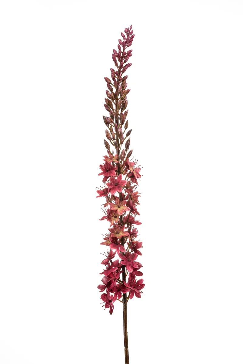 Steppenkerze künstlich 109 cm - 1 Stiel - Bordeaux