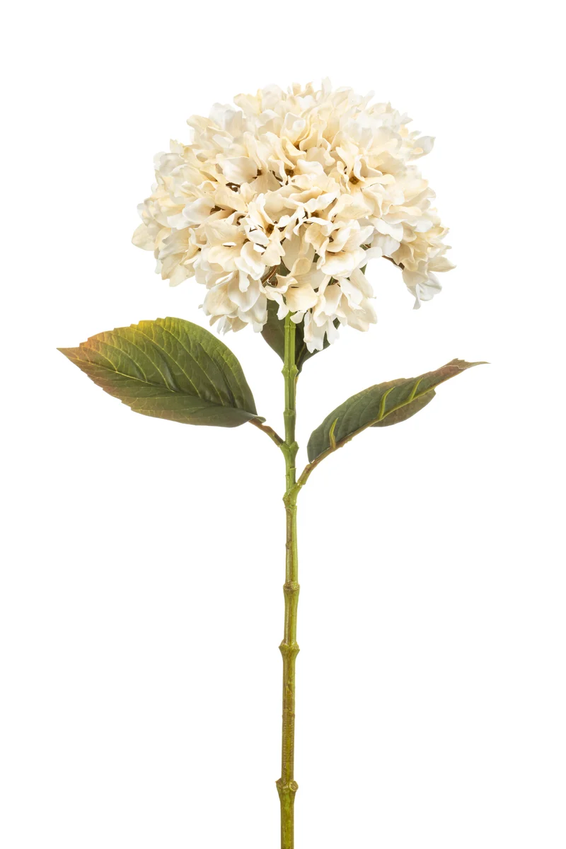 Hortensie künstlich 75 cm - 1 Kopf - Creme