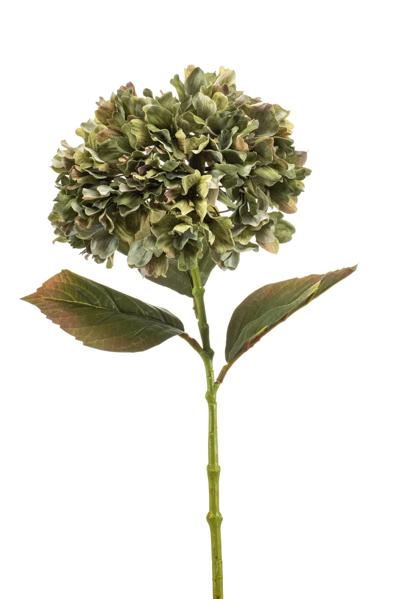 Hortensie künstlich 75 cm - 1 Kopf - Grün