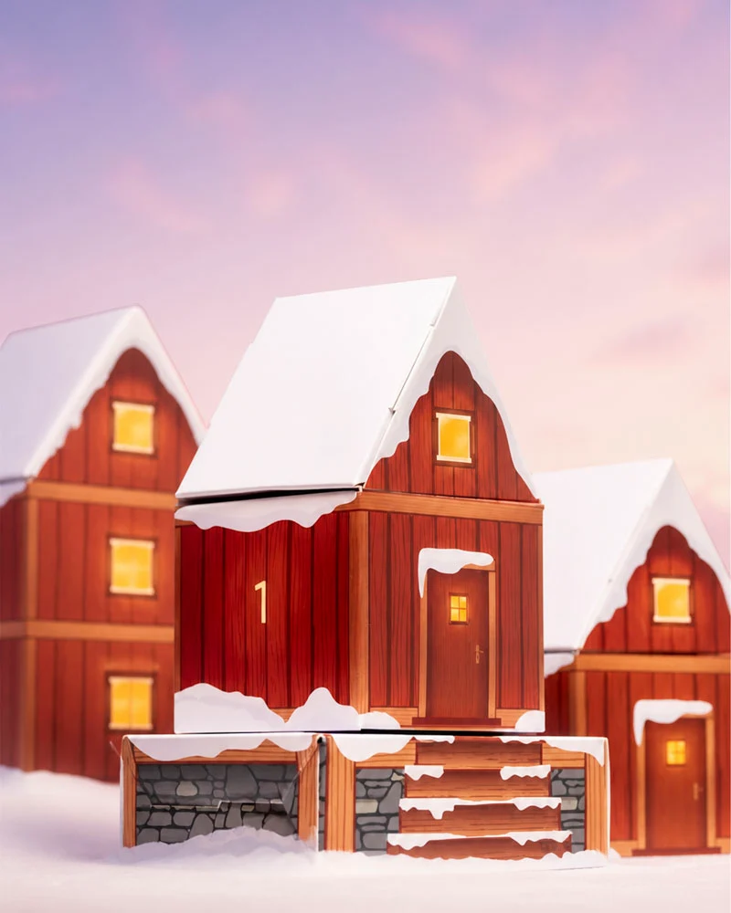Pflanzen Adventskalender «Winterdorf im Morgenrot» (Dschungel-Version)