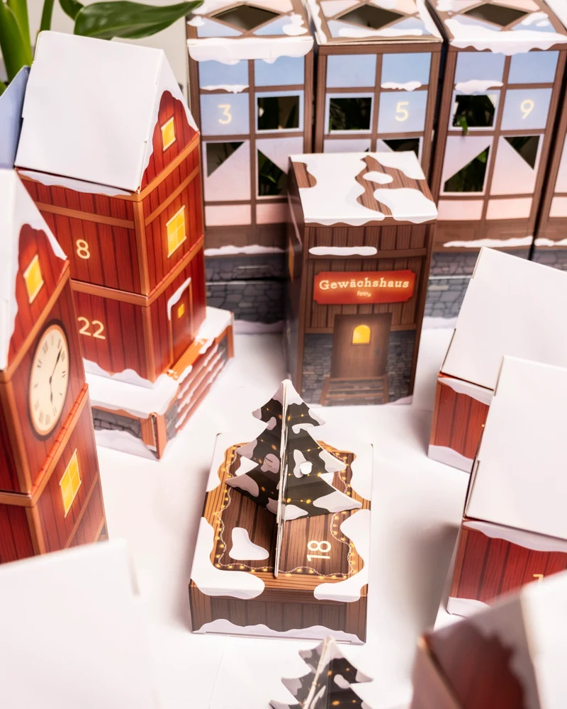 Pflanzen Adventskalender «Winterdorf im Morgenrot» (Dschungel-Version)