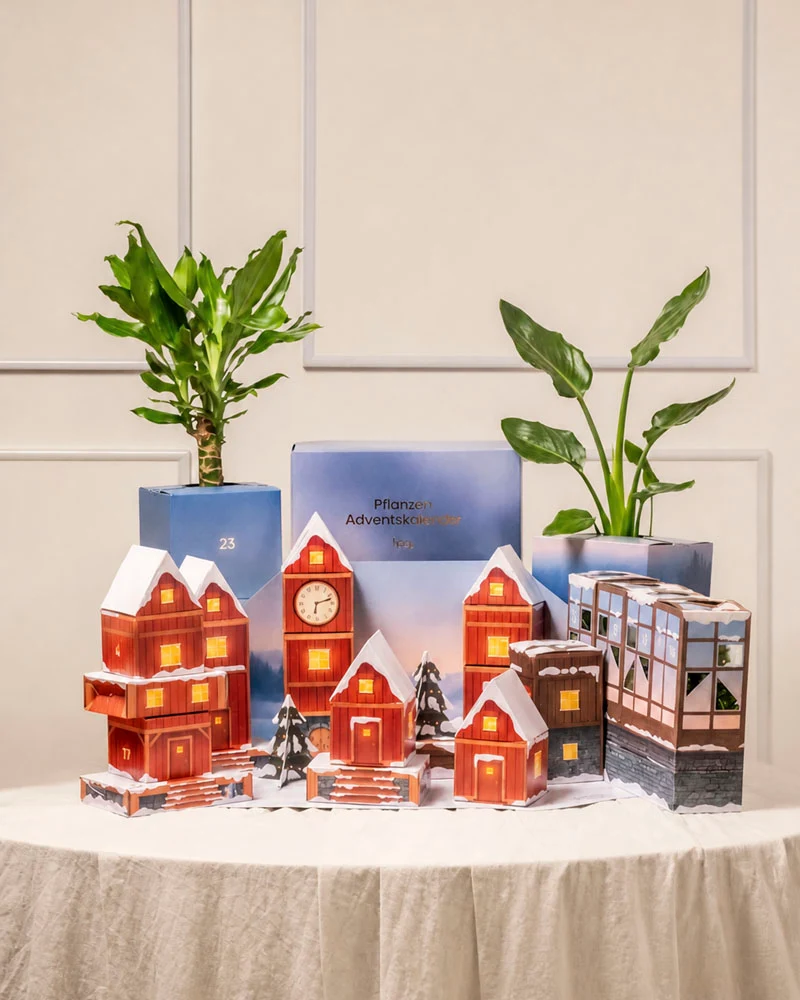 Pflanzen Adventskalender «Winterdorf im Morgenrot»