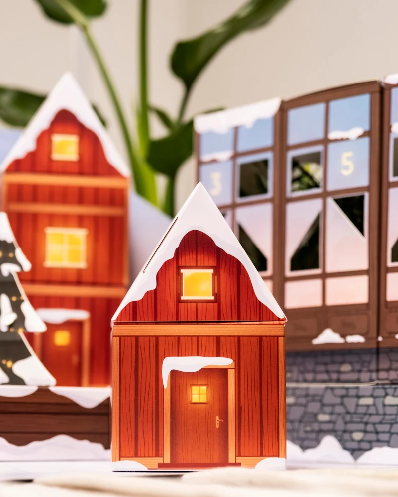Pflanzen Adventskalender «Winterdorf im Morgenrot»