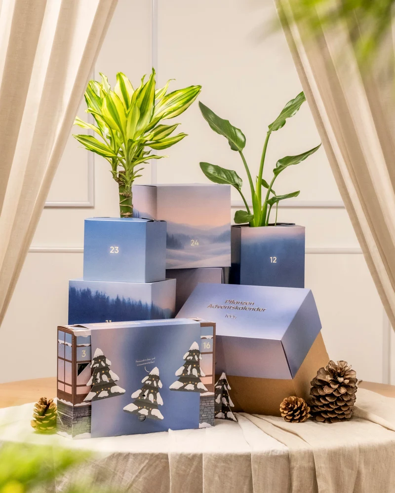 Pflanzen Adventskalender «Winterdorf im Morgenrot»