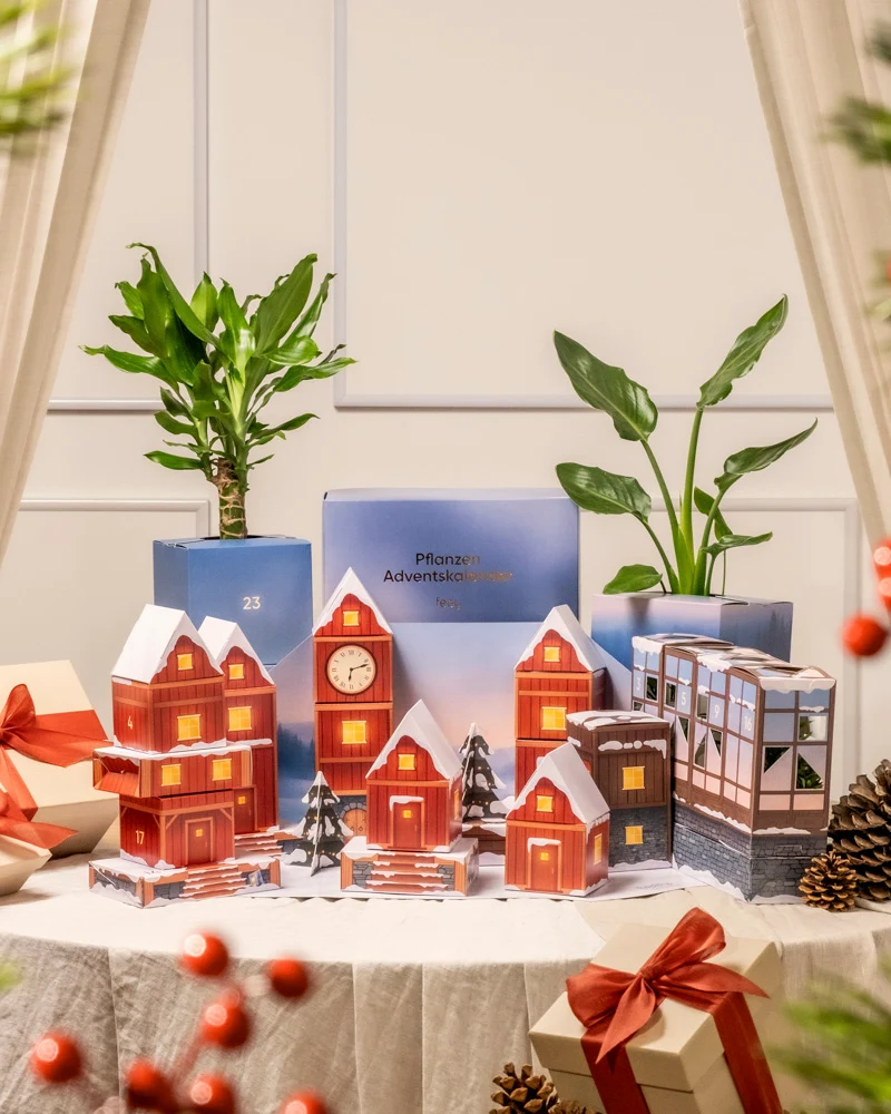 Pflanzen Adventskalender «Winterdorf im Morgenrot»