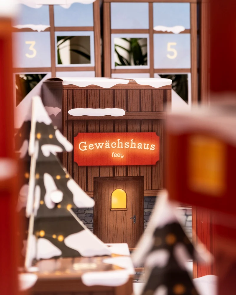Pflanzen Adventskalender «Winterdorf im Morgenrot»