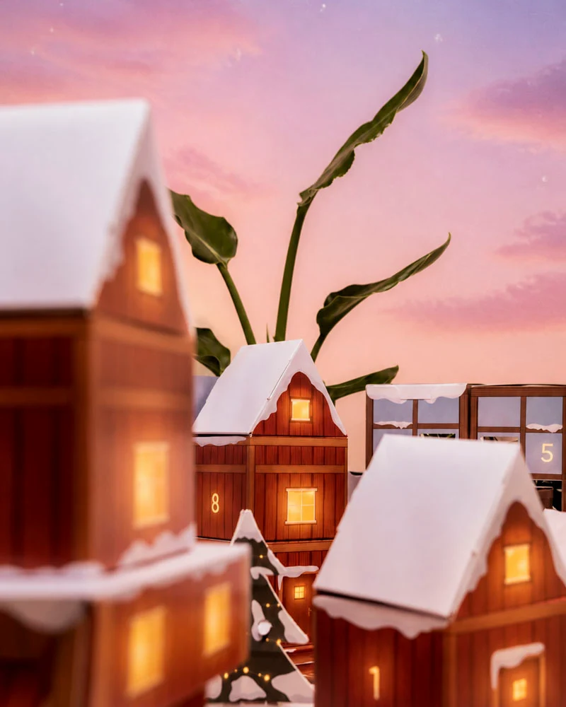 Pflanzen Adventskalender «Winterdorf im Morgenrot»