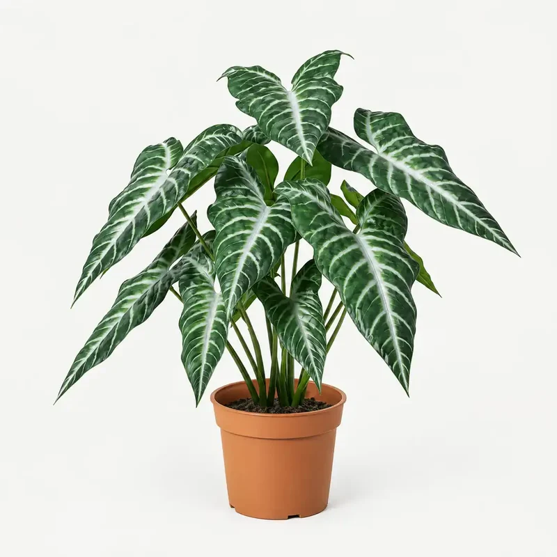 Kunstpflanze wie echt – künstliche Alocasia, 49 cm im Topf