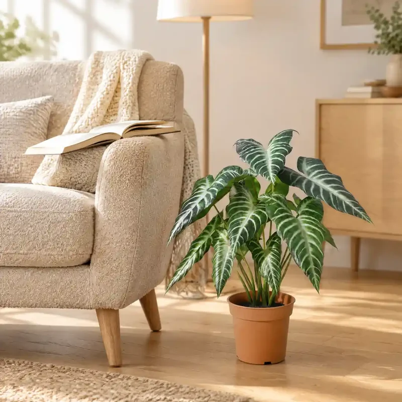 Kunstpflanze wie echt – künstliche Alocasia, 49 cm im Topf