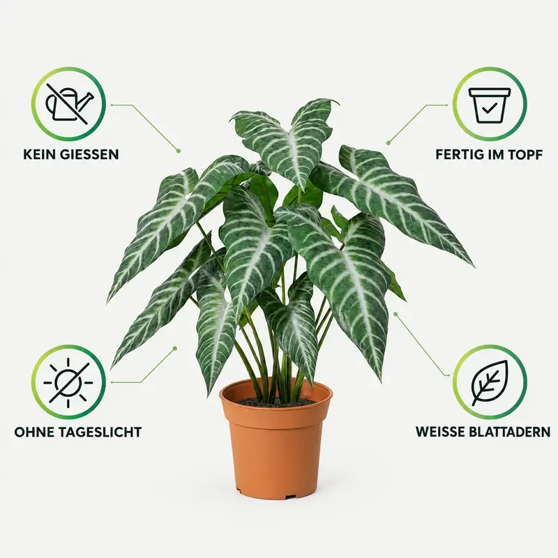 Kunstpflanze wie echt – künstliche Alocasia, 49 cm im Topf