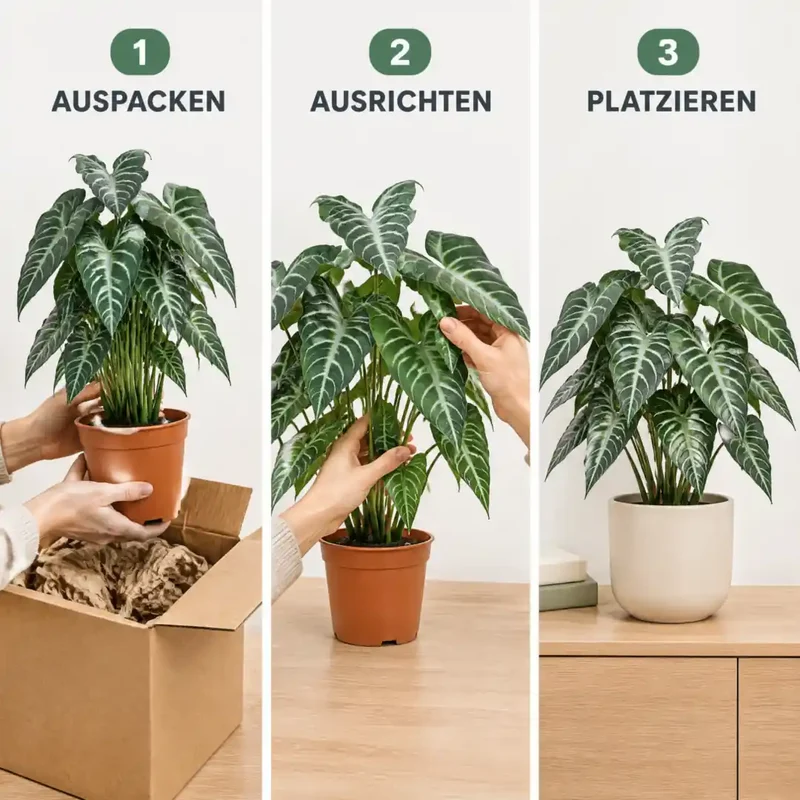 Kunstpflanze wie echt – künstliche Alocasia, 49 cm im Topf