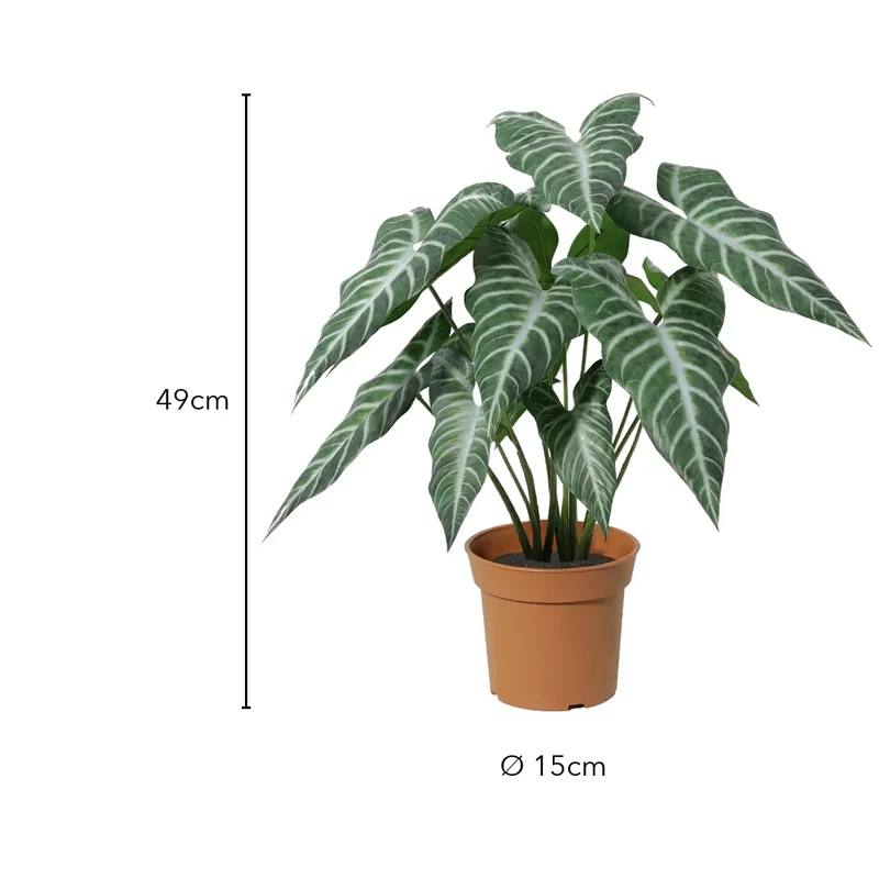 Kunstpflanze wie echt – künstliche Alocasia, 49 cm im Topf