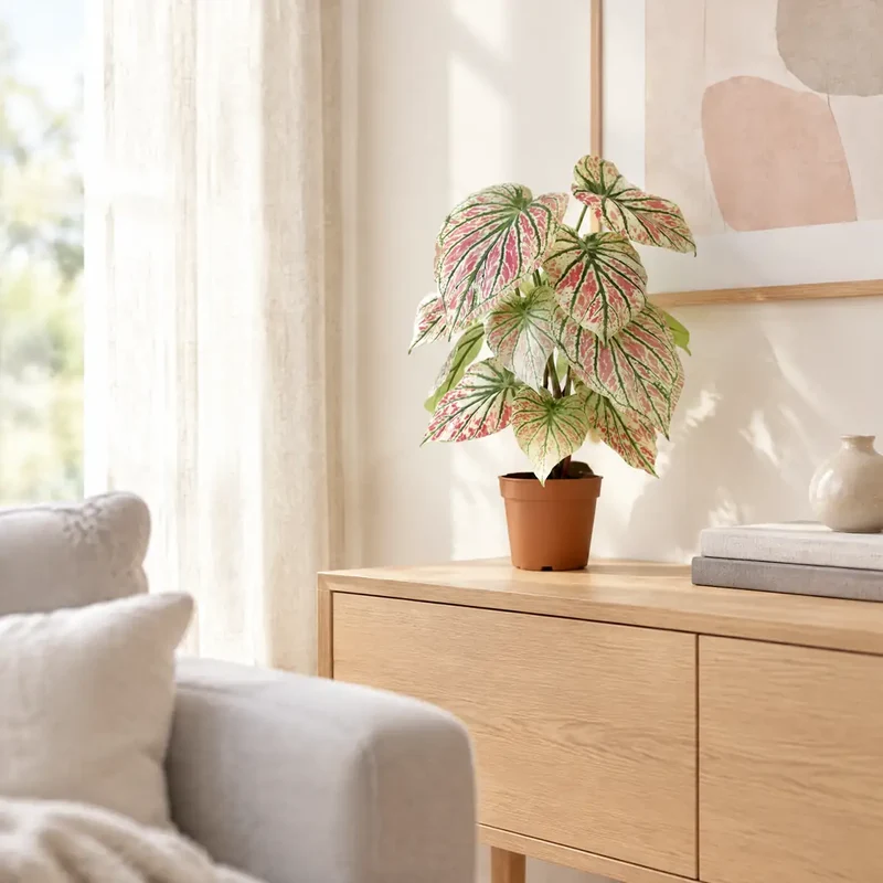 Kunstpflanze wie echt – künstliche Caladium, 57 cm im Topf