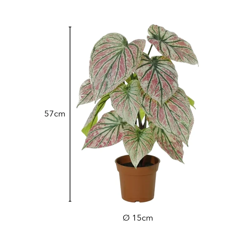 Kunstpflanze wie echt – künstliche Caladium, 57 cm im Topf