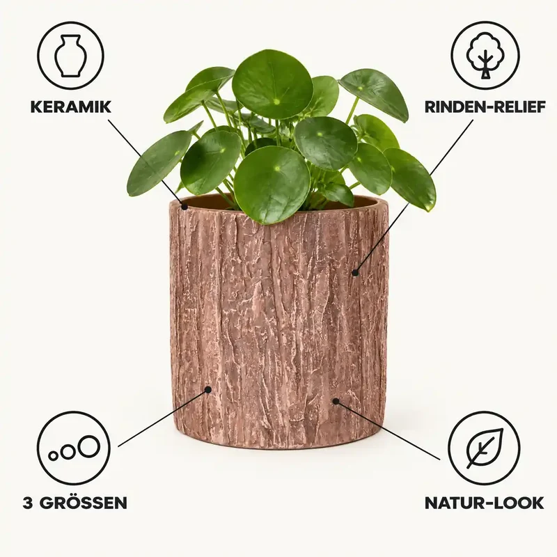 Übertopf für Orchideen – Keramik in Holzoptik mit Rindenrelief