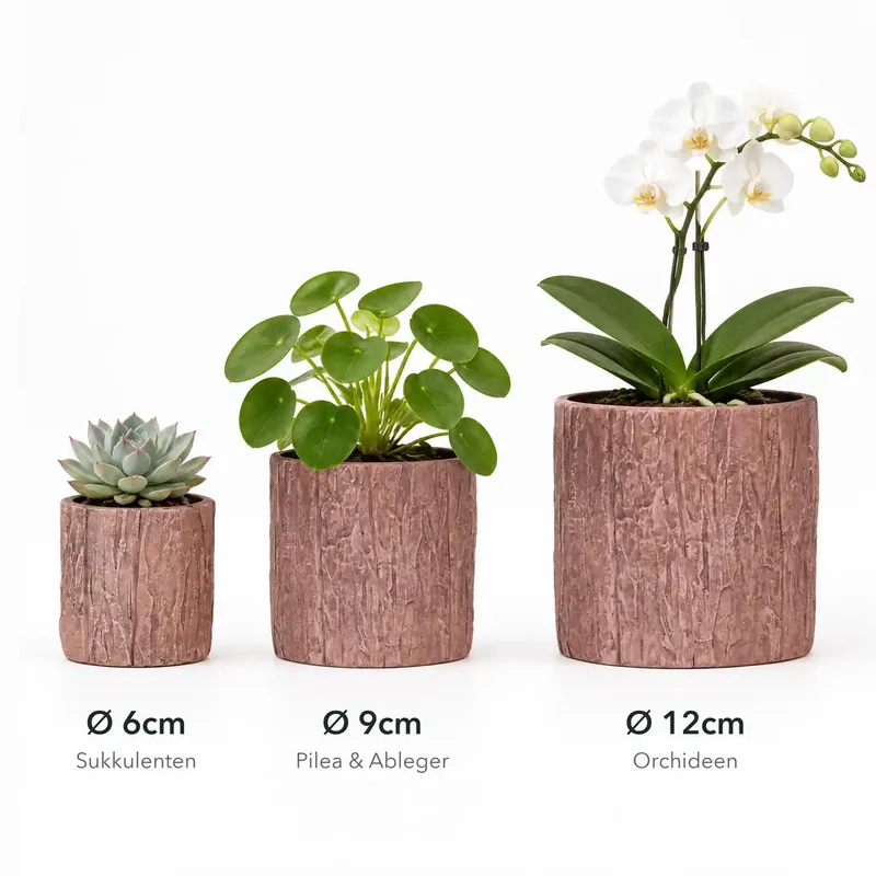 Übertopf für Orchideen – Keramik in Holzoptik mit Rindenrelief