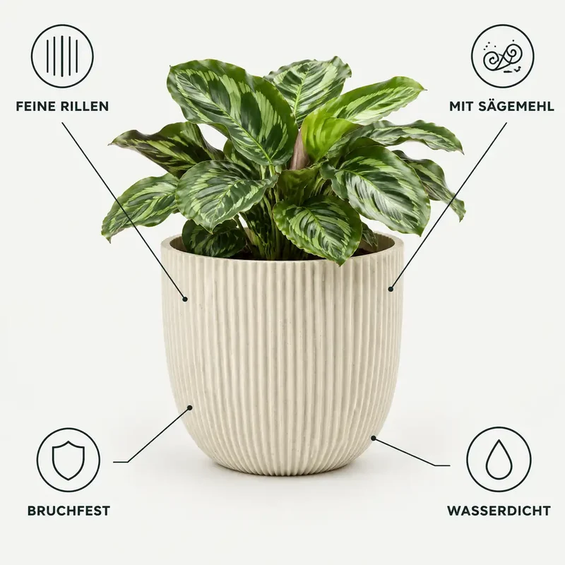 Blumentopf beige – Übertopf mit Rillen in 3 Größen