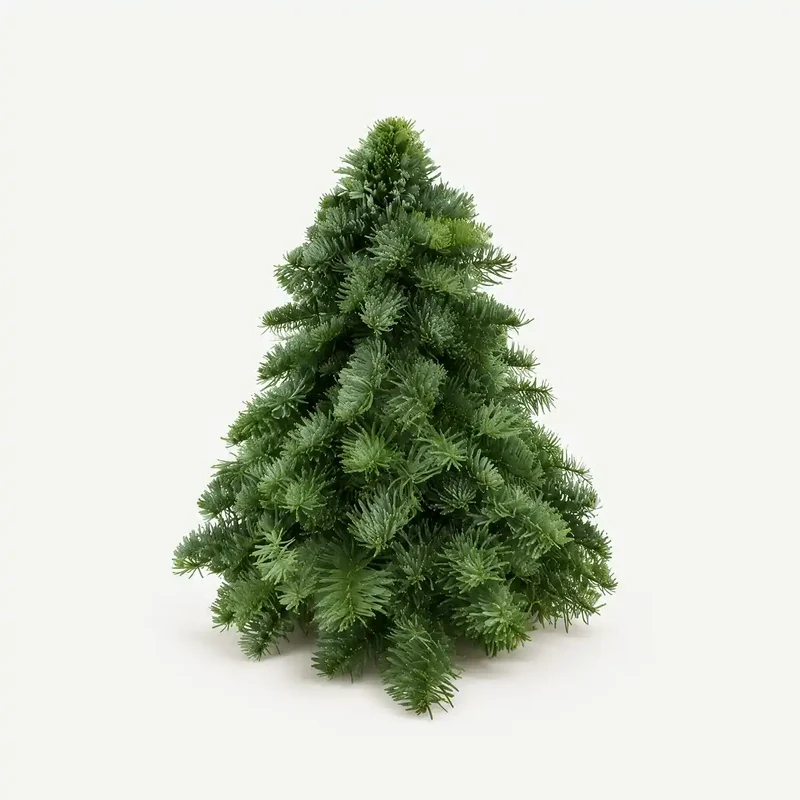 Kleiner Weihnachtsbaum – Nobilis-Tanne aus frischen Zweigen, 30–60 cm