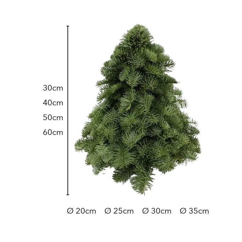 Kleiner Weihnachtsbaum – Nobilis-Tanne aus frischen Zweigen, 30–60 cm