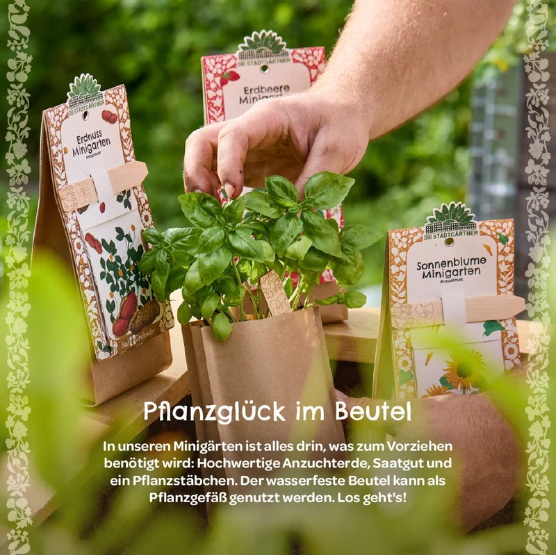 Anzuchtset – Minigarten Cocktail Minze