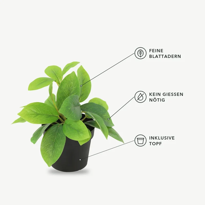 Kunstpflanze klein – künstliche Blattpflanze, 20 cm im Topf