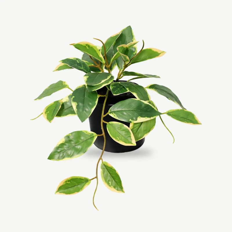 Kunstpflanze klein – künstliche Hängepflanze Hoya, 23 cm im Topf