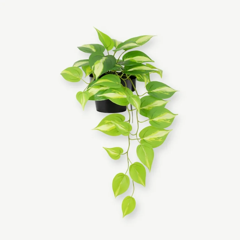 Künstliche Hängepflanze – Efeutute, 37 cm im Topf