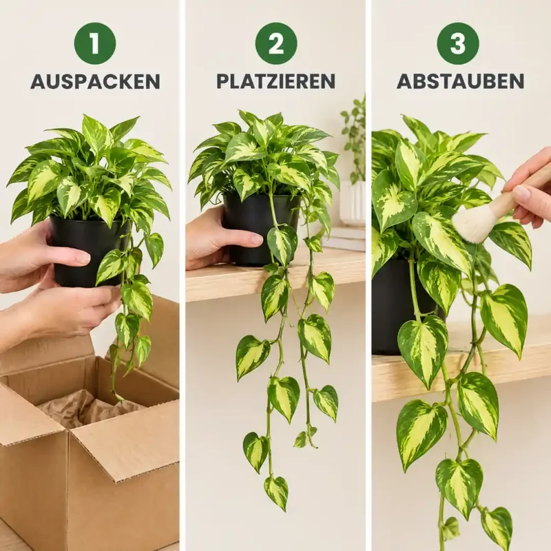 Künstliche Hängepflanze – Efeutute, 37 cm im Topf
