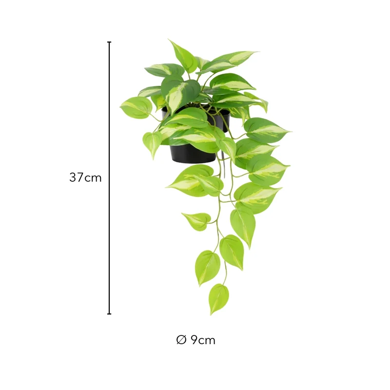 Künstliche Hängepflanze – Efeutute, 37 cm im Topf