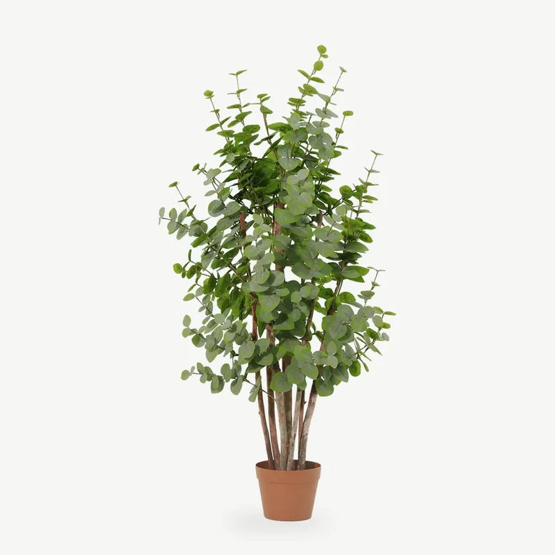 Kunstpflanze groß – künstlicher Eukalyptus, 120 cm im Topf