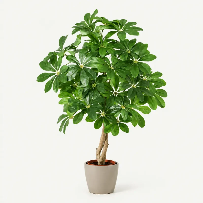 Kunstpflanze groß – künstliche Schefflera, 120 cm im Topf