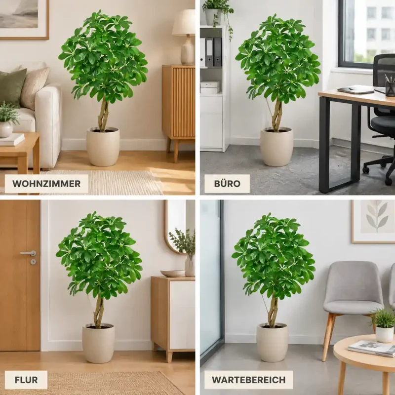 Kunstpflanze groß – künstliche Schefflera, 120 cm im Topf