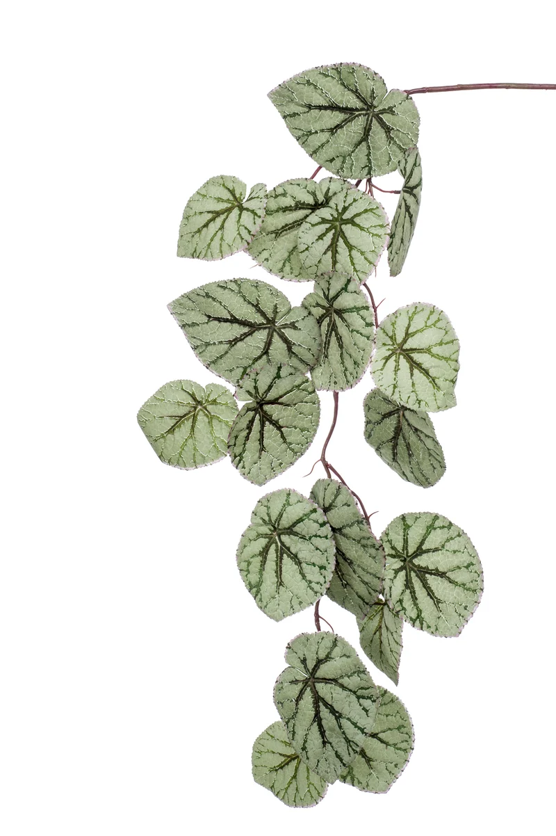 Blattbegonie künstlich Hänger 110 cm - 1 Steckstab - Grün / grau