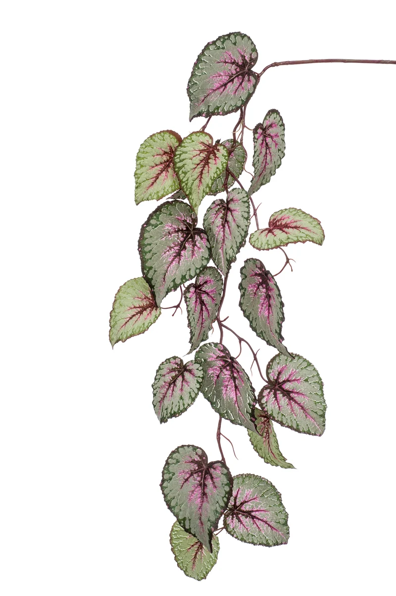 Blattbegonie künstlich Hänger 110 cm - 1 Steckstab - Grün / rosa