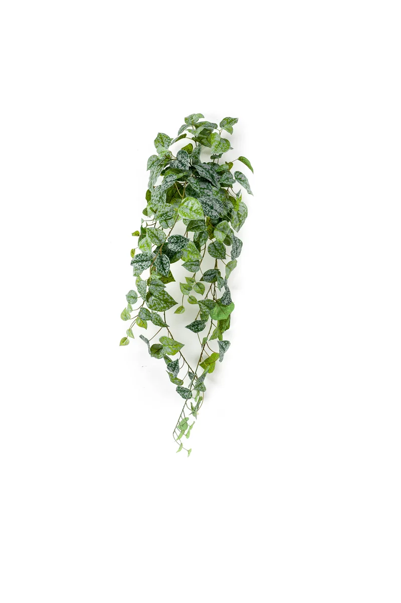 Scindapsus pictus künstlich Hänger 90 cm - 1 Steckstab - Grün / grau