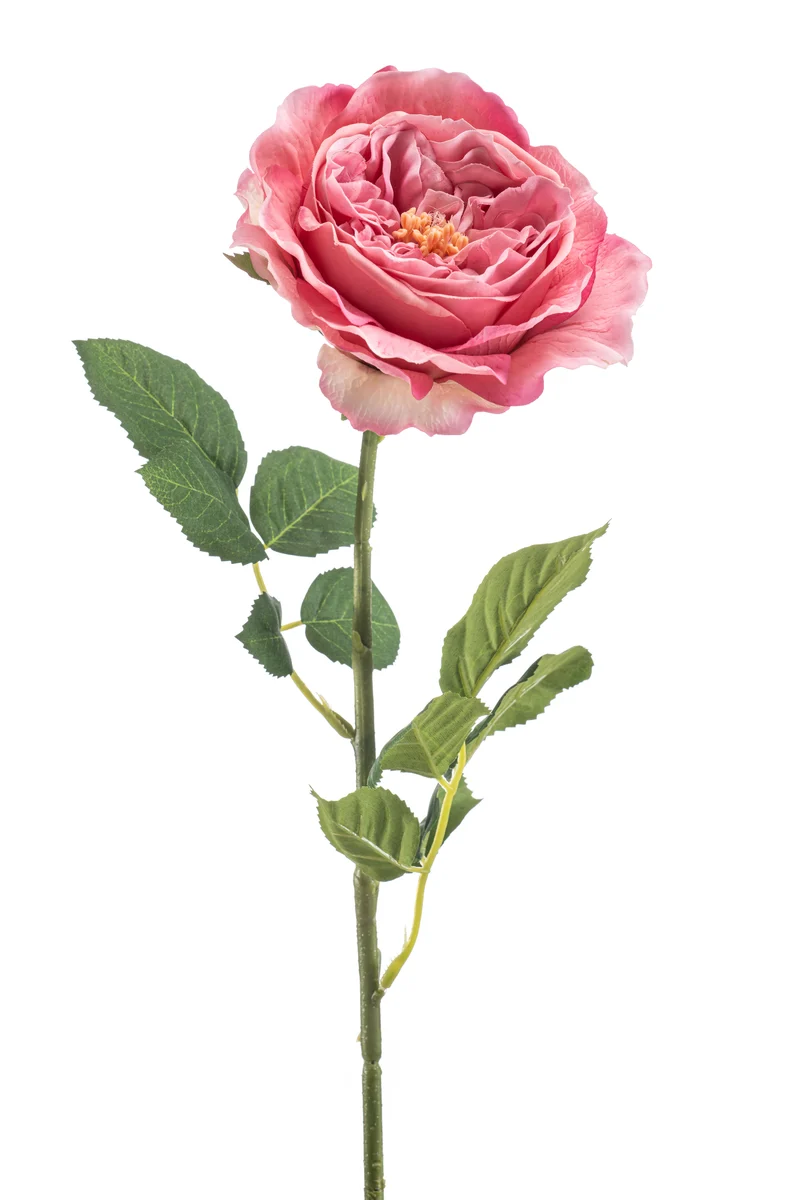 Englische Rose künstlich 62 cm - 1 Stiel - Rosa