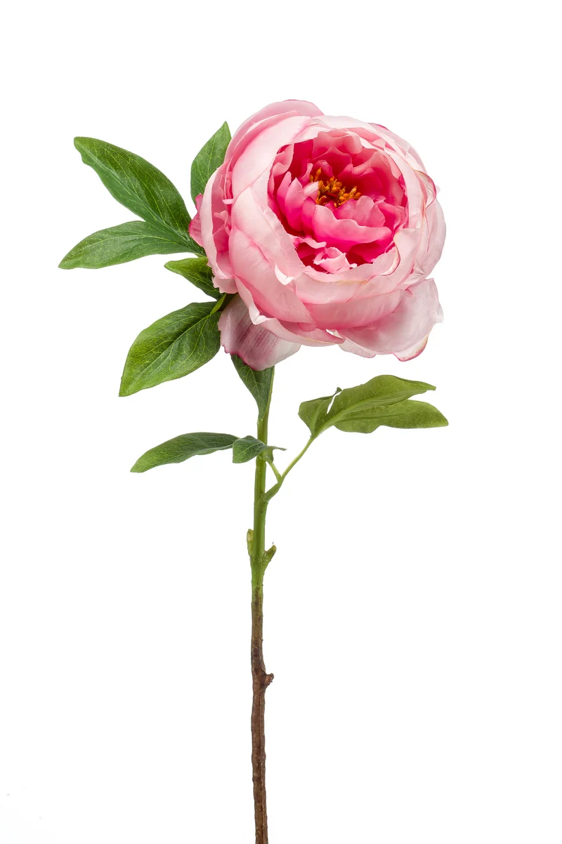 Pfingstrose künstlich 63 cm - 1 Stiel - Rosa