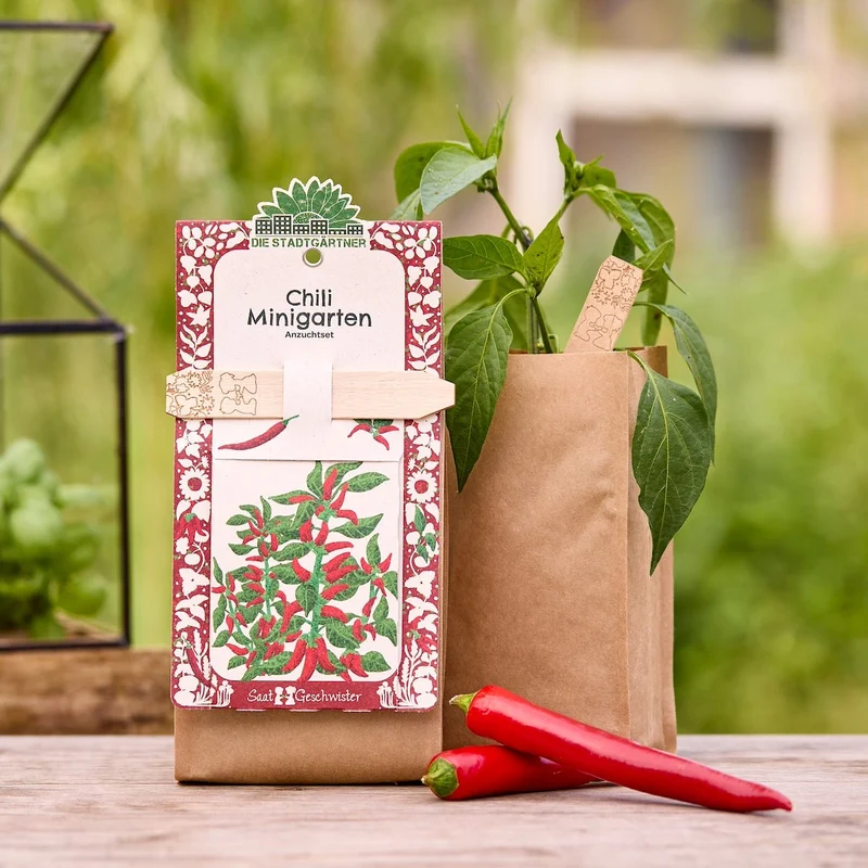 Anzuchtset – Minigarten BIO-Chili