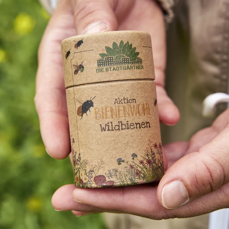 30 m² Wildbienenwiese – Saatgut-Mix