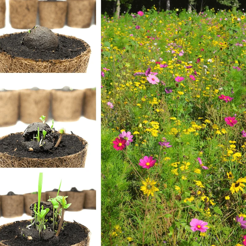 Lose Wildblumen-Samenbomben, unverpackt
