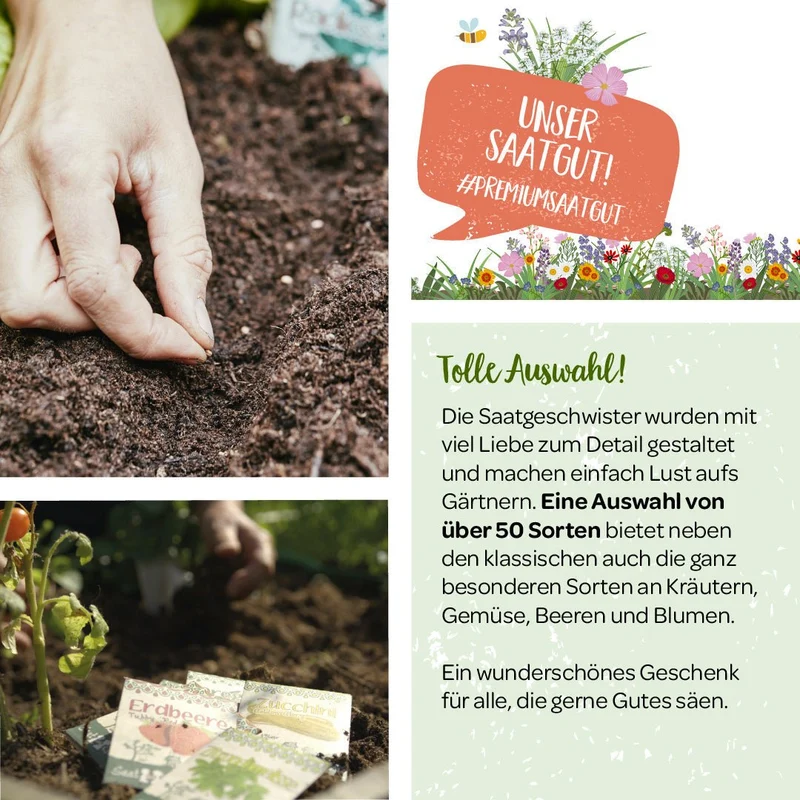 100 g BIO Wildblumen-Saatgut