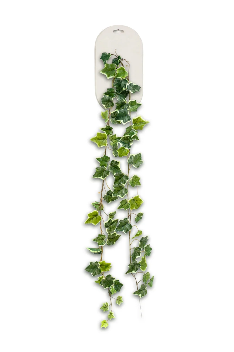 Efeu künstlich 180 cm - 1 Girlande - Grün / weiß