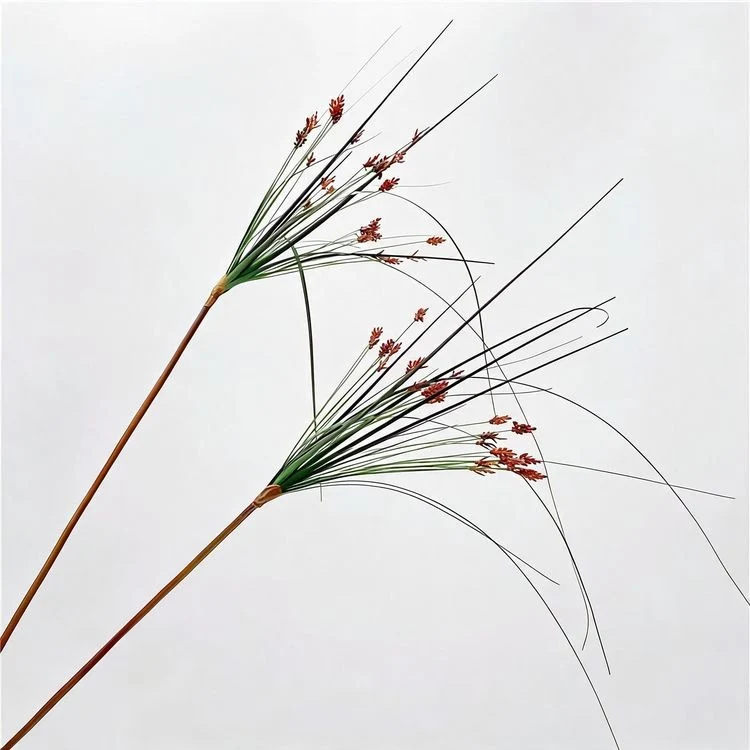 Künstliche Schilfgras-Deko, 135 cm, PE/PVC, 2 Stk., modern, für Büro, Hotel, Schaufenster, Innenbereich