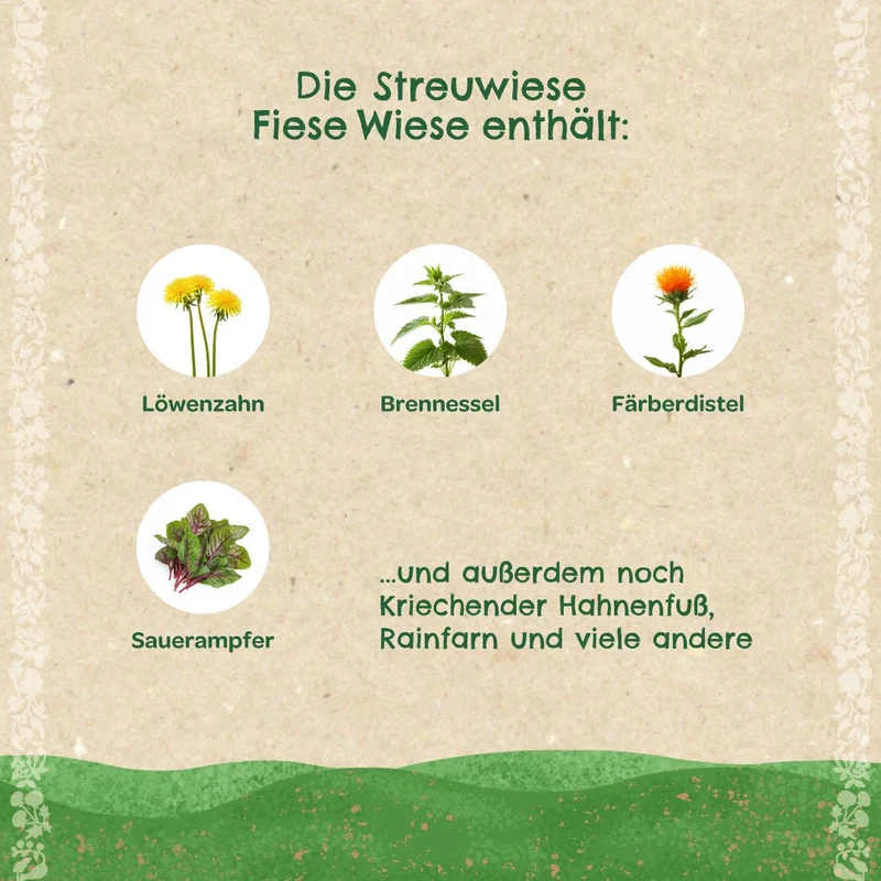 Streuwiese "Fiese Wiese"