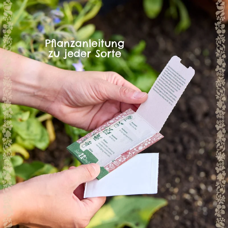 Saatgut Mohnblume