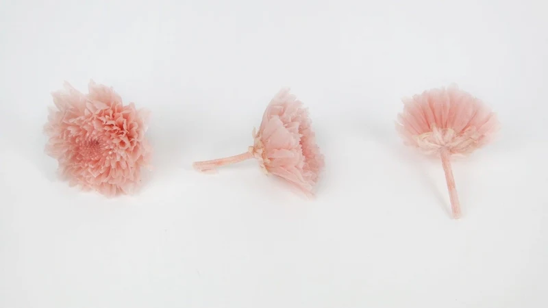 Chrysantheme mini Kogiku konserviert Earth Matters - 12 Köpfe - Silky pink 131