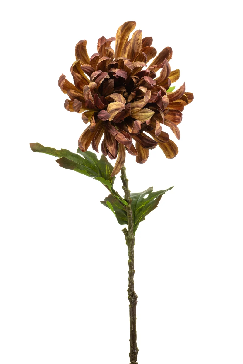 Chrysantheme künstlich 60 cm - 1 Stiel - Braun